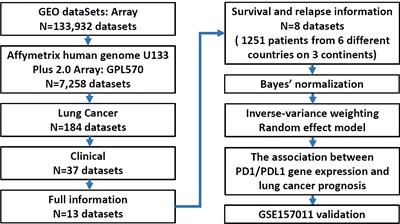 The Prognostic Significance of PD1 and PDL1 Gene Expression in Lung Cancer: A Meta-Analysis